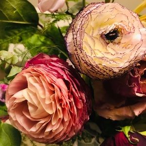 Meet your Posher, Diana